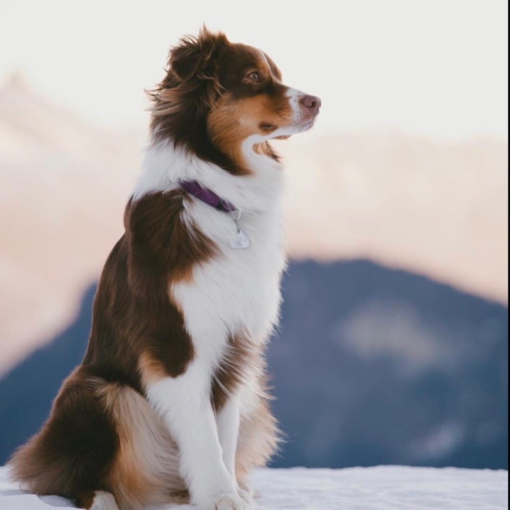 Meet your Posher, Cate